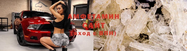 стаф Корсаков